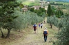 P1030196 Chianti walking